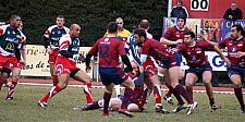 grassenimes6.JPG grassenimes6.JPG
