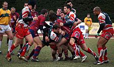 grassenimes62.JPG grassenimes62.JPG