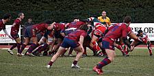 grassenimes63.JPG grassenimes63.JPG
