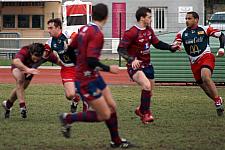 grassenimes64.JPG grassenimes64.JPG
