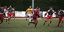 grassenimes68.JPG grassenimes68.JPG