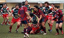 grassenimes70.JPG grassenimes70.JPG