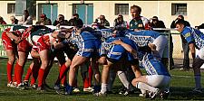 nimessorgues65.JPG nimessorgues65.JPG