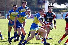 straphaelnimes31.JPG straphaelnimes31.JPG