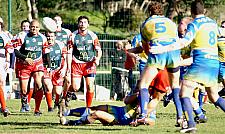 straphaelnimes74.JPG straphaelnimes74.JPG