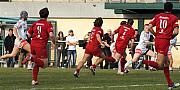 nimeslombez056.jpg nimeslombez056.jpg