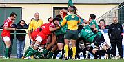 nimesmontauban10.jpg nimesmontauban10.jpg
