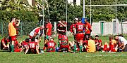 nimesavignon009.jpg nimesavignon009.jpg