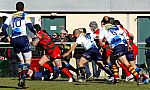 nimesceret056.JPG nimesceret056.JPG