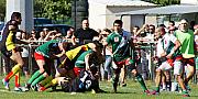 nimesmillau079.jpg nimesmillau079.jpg