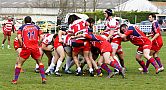 quillannimes010.JPG quillannimes010.JPG