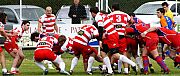 quillannimes028.JPG quillannimes028.JPG