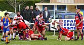 quillannimes030.JPG quillannimes030.JPG
