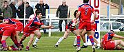 quillannimes033.JPG quillannimes033.JPG
