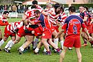 quillannimes037.JPG quillannimes037.JPG