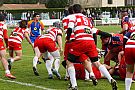 quillannimes048.JPG quillannimes048.JPG