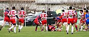 quillannimes057.JPG quillannimes057.JPG