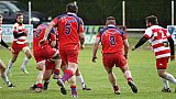 quillannimes062.JPG quillannimes062.JPG