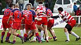 quillannimes064.JPG quillannimes064.JPG