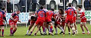 quillannimes068.JPG quillannimes068.JPG