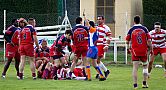 quillannimes074.JPG quillannimes074.JPG