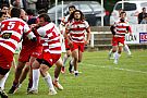 quillannimes079.JPG quillannimes079.JPG