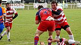 quillannimes080.JPG quillannimes080.JPG