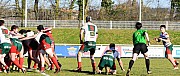 nimeslavaur004.jpg nimeslavaur004.jpg