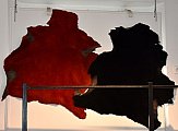 graulhetnimes002.jpg graulhetnimes002.jpg