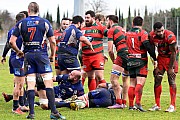 nimesgrasse061.jpg nimesgrasse061.jpg