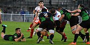 asvelnimes115.jpg asvelnimes115.jpg