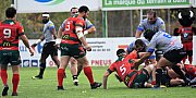 rcncarque063.jpg rcncarque063.jpg
