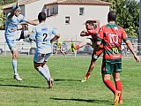 rcnvienne47.jpg rcnvienne47.jpg