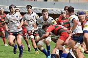 rcnnarbonne020.jpg rcnnarbonne020.jpg