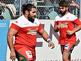 rcnnarbonne021.jpg rcnnarbonne021.jpg