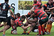 rcnnarbonne080.jpg rcnnarbonne080.jpg