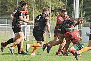rcnnarbonne125.jpg rcnnarbonne125.jpg