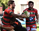 rcnnarbonne140.jpg rcnnarbonne140.jpg