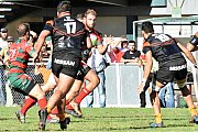 rcnnarbonne180.jpg rcnnarbonne180.jpg