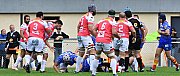 nimesceret016.jpg nimesceret016.jpg