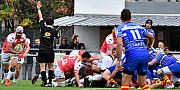 nimesceret023.jpg nimesceret023.jpg
