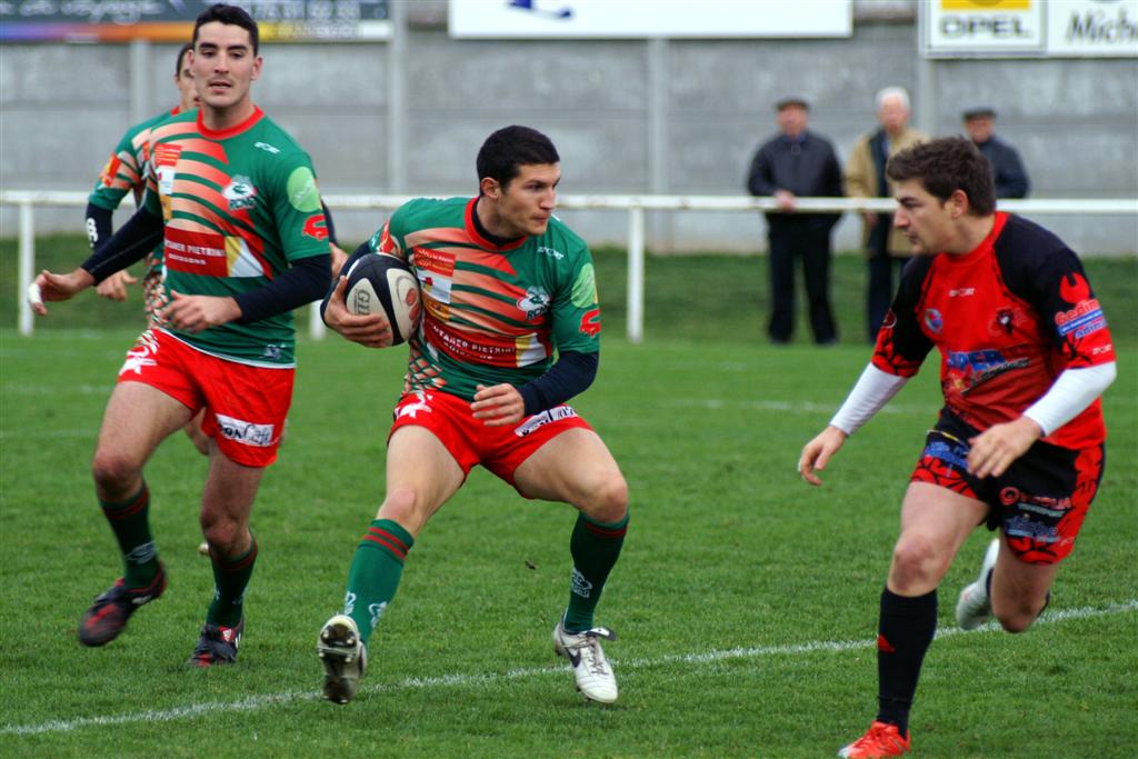B-annonaynimes04.JPG