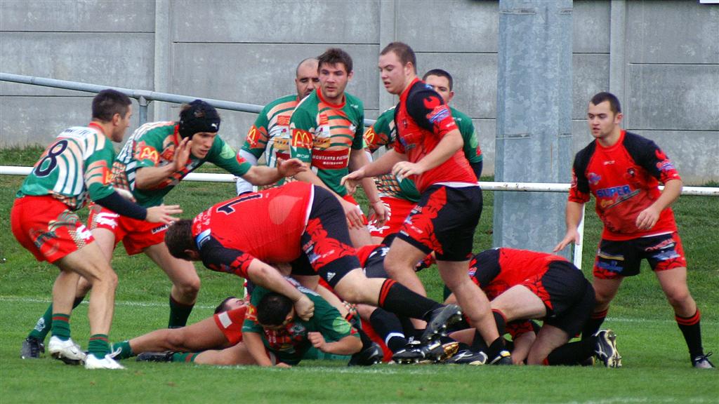 B-annonaynimes06.JPG