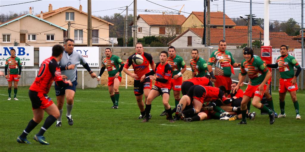 B-annonaynimes31.JPG