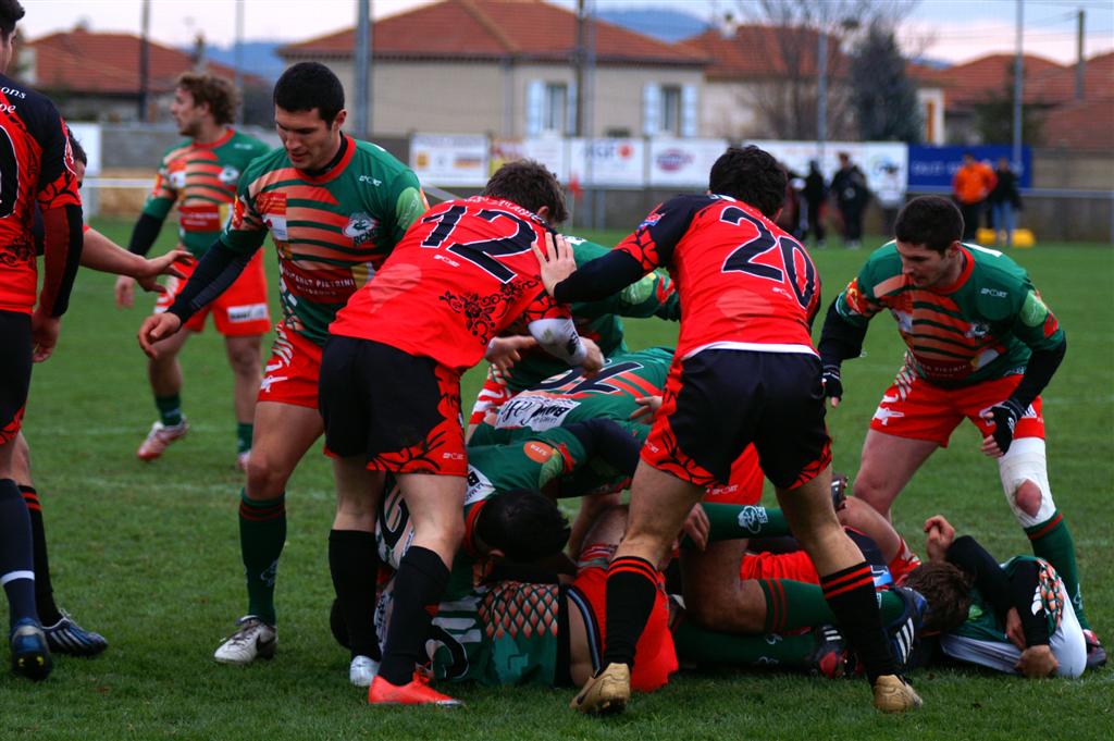 B-annonaynimes39.JPG