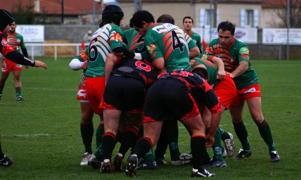annonaynimes09.JPG