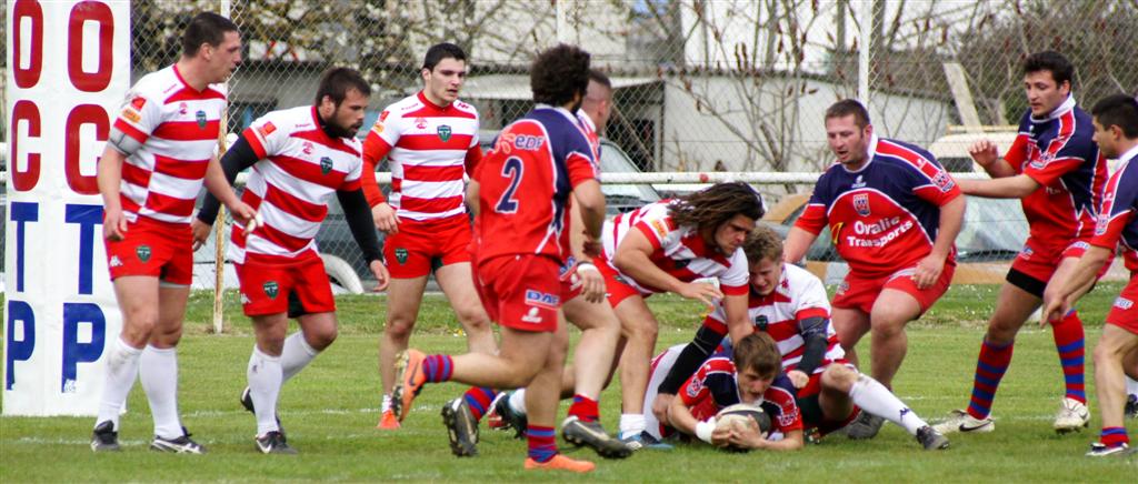 quillannimes034.JPG