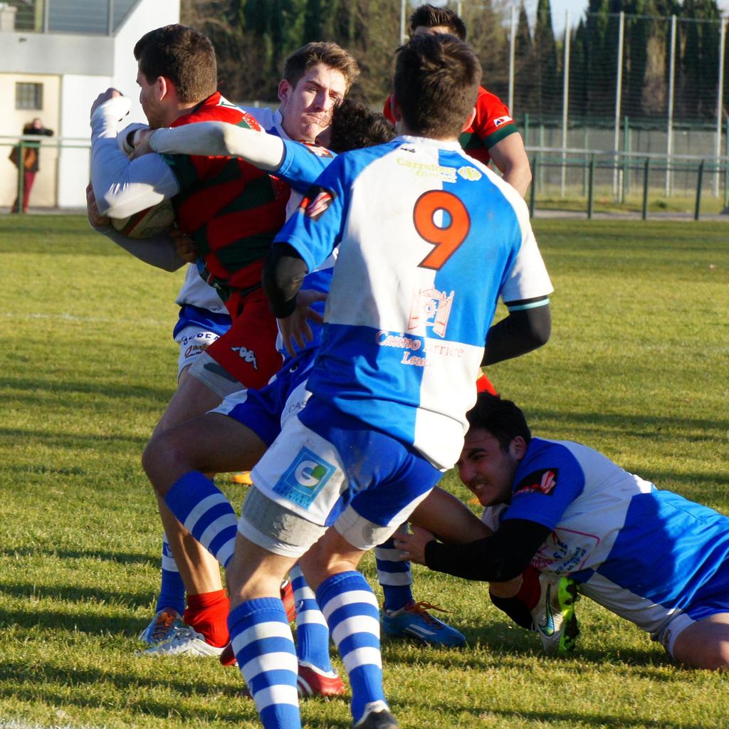 nimesleucate147.jpg