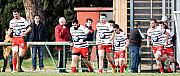 bedarcn016.jpg bedarcn016.jpg