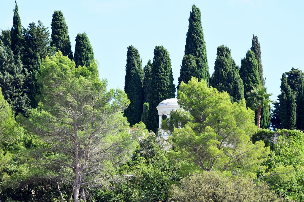 grassenimes018.jpg